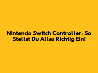 Nintendo Switch Controller: So Stellst Du Alles Richtig Ein!