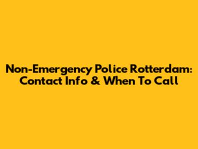 Non-Emergency Police Rotterdam: Contact Info & When To Call