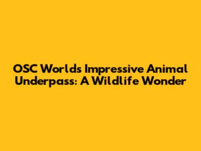 OSC World's Impressive Animal Underpass: A Wildlife Wonder