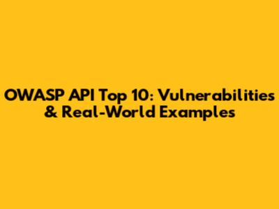 OWASP API Top 10: Vulnerabilities & Real-World Examples