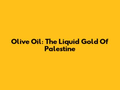 Olive Oil: The Liquid Gold Of Palestine