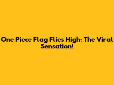 One Piece Flag Flies High: The Viral Sensation!