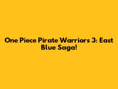 One Piece Pirate Warriors 3: East Blue Saga!