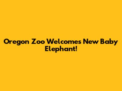 Oregon Zoo Welcomes New Baby Elephant!