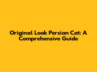 Original Look Persian Cat: A Comprehensive Guide