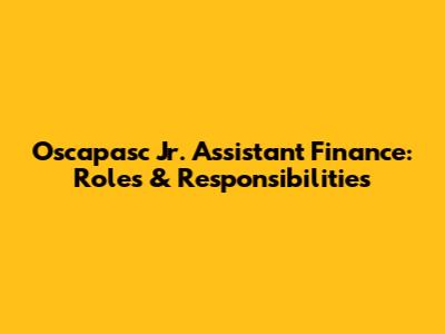 Oscapasc Jr. Assistant Finance: Roles & Responsibilities