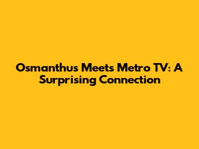 Osmanthus Meets Metro TV: A Surprising Connection