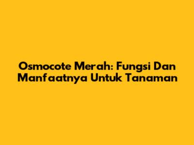 Osmocote Merah: Fungsi Dan Manfaatnya Untuk Tanaman