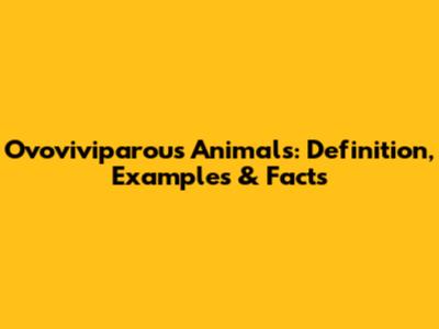 Ovoviviparous Animals: Definition, Examples & Facts