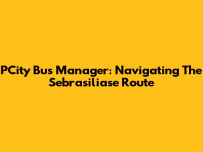 PCity Bus Manager: Navigating The Sebrasiliase Route
