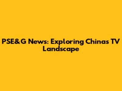 PSE&G News: Exploring China's TV Landscape
