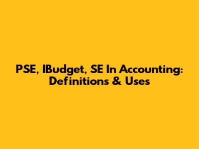 PSE, IBudget, SE In Accounting: Definitions & Uses