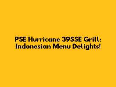 PSE Hurricane 39SSE Grill: Indonesian Menu Delights!