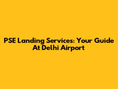 PSE Landing Services: Your Guide At Delhi Airport