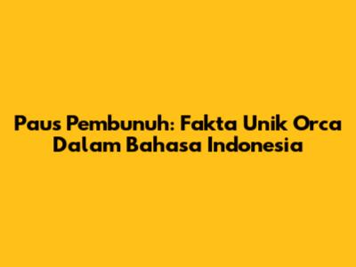 Paus Pembunuh: Fakta Unik Orca Dalam Bahasa Indonesia