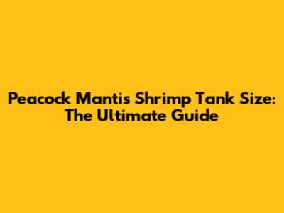 Peacock Mantis Shrimp Tank Size: The Ultimate Guide