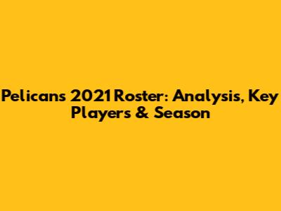 Pelicans 2021 Roster: Analysis, Key Players & Season