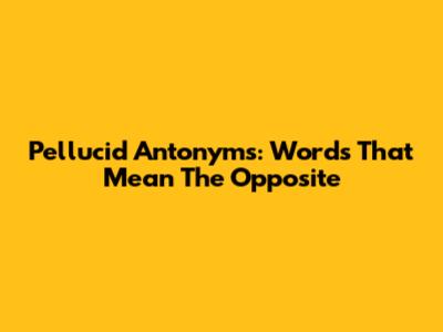 Pellucid Antonyms: Words That Mean The Opposite