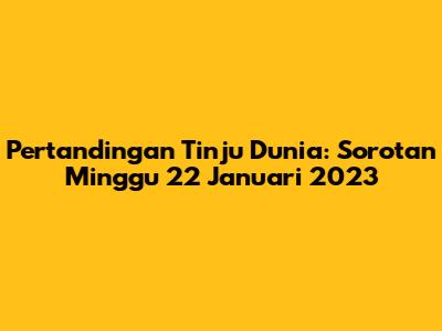 Pertandingan Tinju Dunia: Sorotan Minggu 22 Januari 2023