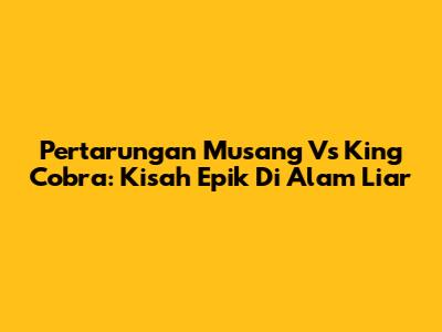 Pertarungan Musang Vs King Cobra: Kisah Epik Di Alam Liar