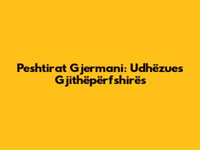 Peshtirat Gjermani: Udhëzues Gjithëpërfshirës