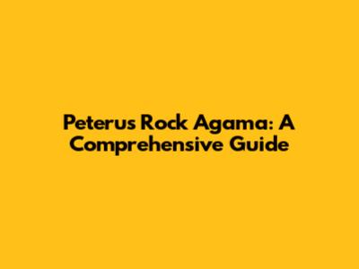 Peteru's Rock Agama: A Comprehensive Guide