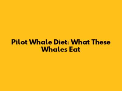 Pilot Whale Diet: What These Whales Eat