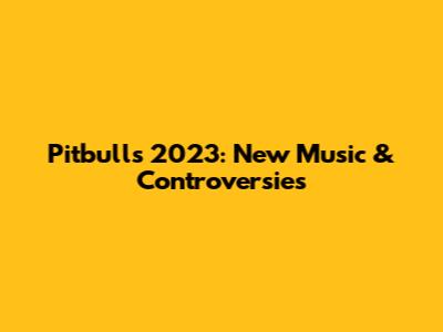 Pitbull's 2023: New Music & Controversies