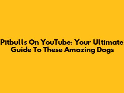 Pitbulls On YouTube: Your Ultimate Guide To These Amazing Dogs