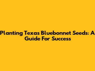 Planting Texas Bluebonnet Seeds: A Guide For Success