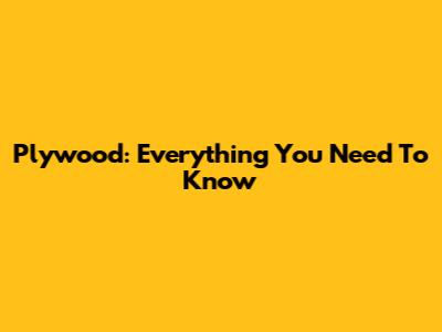 Plywood: Everything You Need To Know