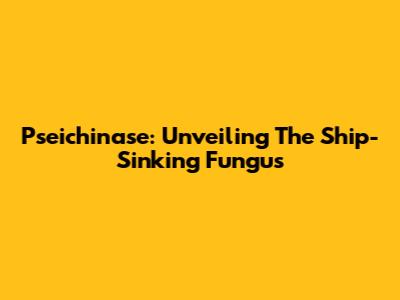 Pseichinase: Unveiling The Ship-Sinking Fungus