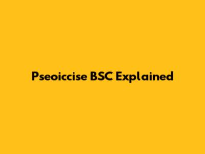 Pseoiccise BSC Explained