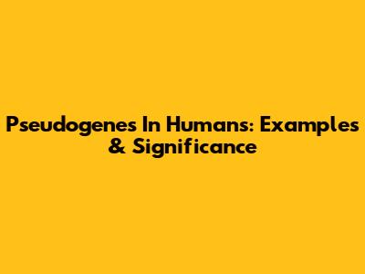 Pseudogenes In Humans: Examples & Significance