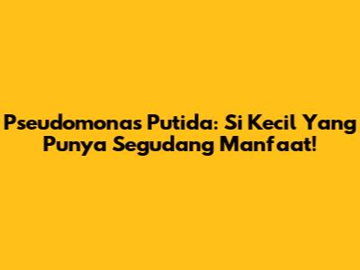 Pseudomonas Putida: Si Kecil Yang Punya Segudang Manfaat!