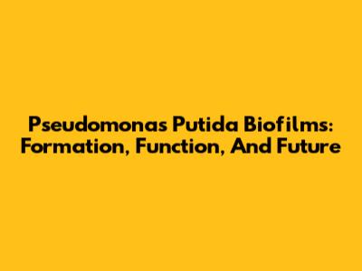 Pseudomonas Putida Biofilms: Formation, Function, And Future
