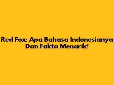 Red Fox: Apa Bahasa Indonesianya Dan Fakta Menarik!