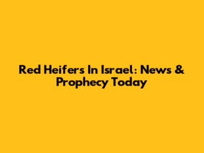 Red Heifers In Israel: News & Prophecy Today