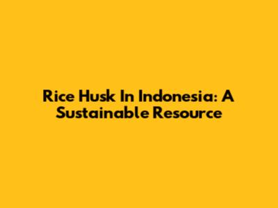 Rice Husk In Indonesia: A Sustainable Resource