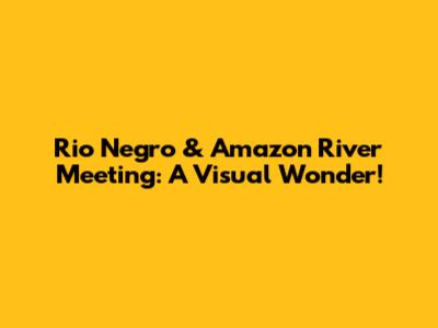 Rio Negro & Amazon River Meeting: A Visual Wonder!