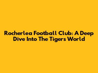 Rocherlea Football Club: A Deep Dive Into The Tigers' World