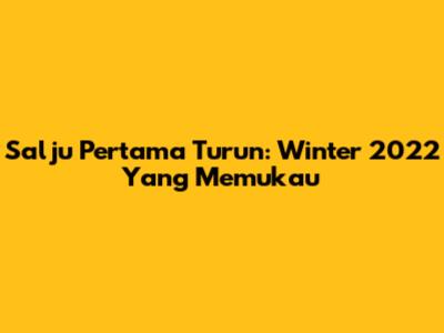Salju Pertama Turun: Winter 2022 Yang Memukau