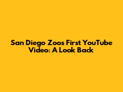 San Diego Zoo's First YouTube Video: A Look Back