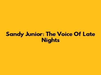 Sandy Junior: The Voice Of Late Nights