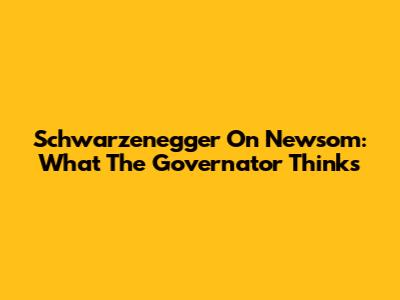 Schwarzenegger On Newsom: What The Governator Thinks