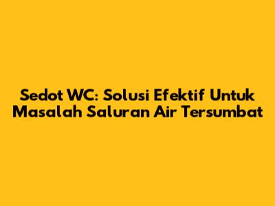 Sedot WC: Solusi Efektif Untuk Masalah Saluran Air Tersumbat