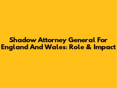 Shadow Attorney General For England And Wales: Role & Impact