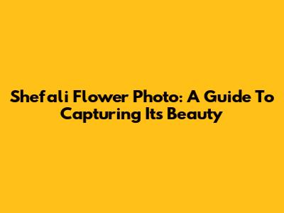 Shefali Flower Photo: A Guide To Capturing Its Beauty