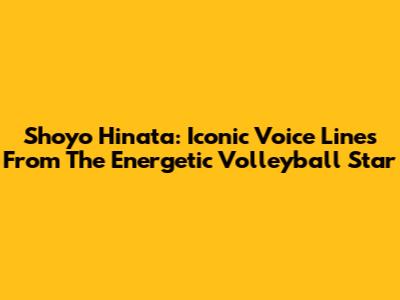 Shoyo Hinata: Iconic Voice Lines From The Energetic Volleyball Star
