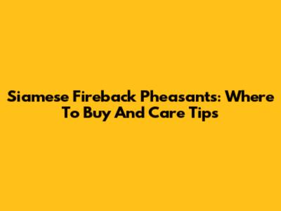 Siamese Fireback Pheasants: Where To Buy And Care Tips